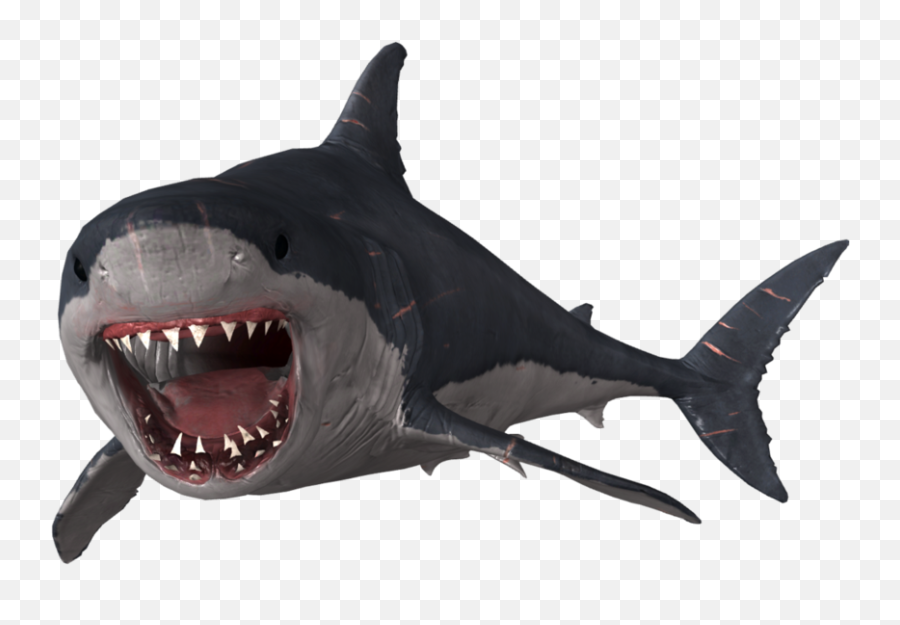 Face Megalodon Shark Png Transparent Image Png Mart Emoji,(^^^) Shark Emoji