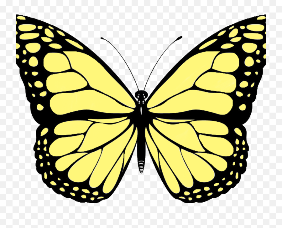 Butterfly Transparent Background Free Download Emoji,Blue Butterfly Emoji Mean