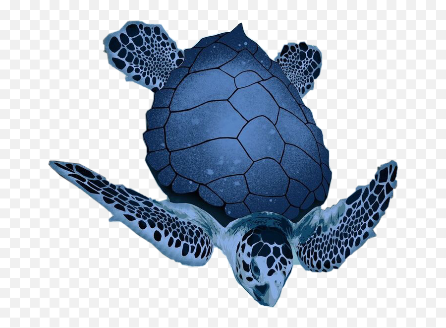 Blue Seacreature Sticker - Loggerhead Sea Turtle Emoji,Turtle Bird Emoji