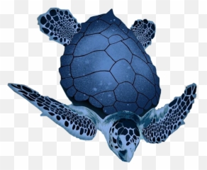 Blue Seacreature Sticker - Loggerhead Sea Turtle Emoji,Turtle Bird Emoji