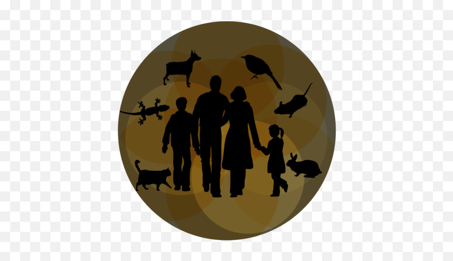 Sars - Cov2 In Ferrets Cats And Dogs A New Experimental Avoid Animals Icon Png Emoji,Human Emotions On Animals