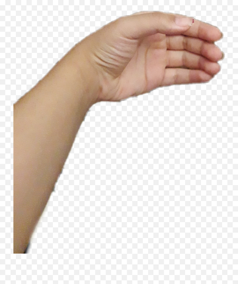 Hand Hands Real Sticker By Pariya Moghadasion - Dry Emoji,Brown Emoji Hands