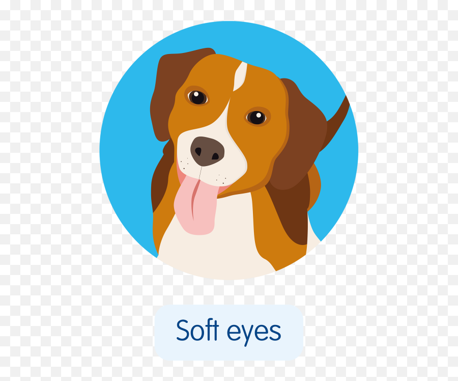 Five Signs Your Dog Loves You Blue Cross - Scent Hound Emoji,Cat Tail Emotions
