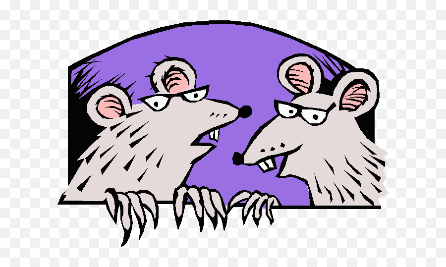 Health Of Fancy Rat Eyesight - 2 Animated Rats Emoji,Rat Faces Emotions