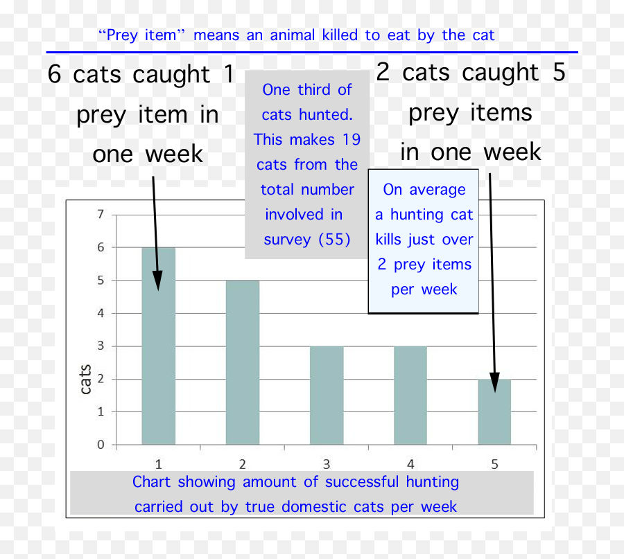 Domestic Cat Hunting Behavior - Arbeitszeit Emoji,Cat Emotions Chart