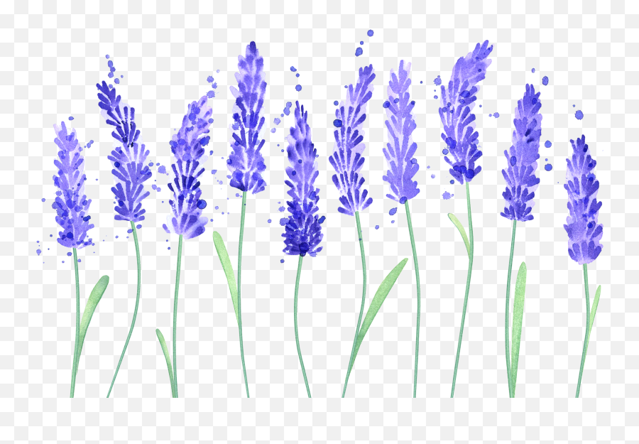 Blog U2013 Desert Enchantress - Fernleaf Lavender Emoji,Messenger Oracle Let Your Emotions Flow