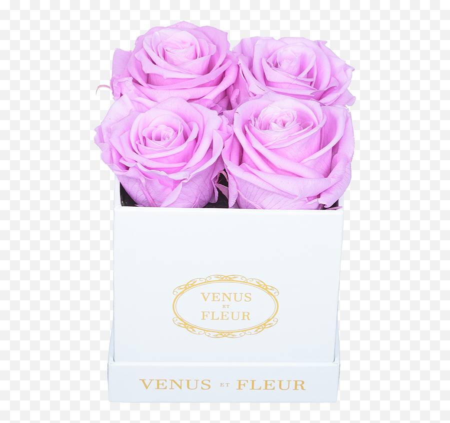Le Petite Floral Eternity Rose - Girly Emoji,Rolling Roses Mixed Emotions