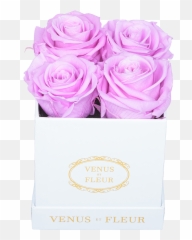 Le Petite Floral Eternity Rose - Girly Emoji,Rolling Roses Mixed Emotions