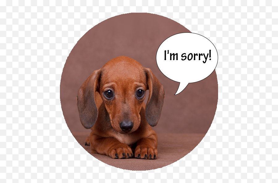 Bark Translator Human To Dogs U2013 Apps No Google Play - Photo Caption Emoji,Groan Emoji