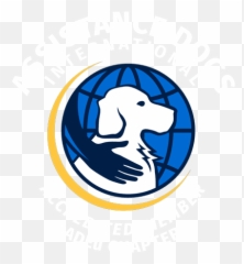 Success Stories - Assistance Dogs International Certified Emoji,Bbc Dogs Emotions