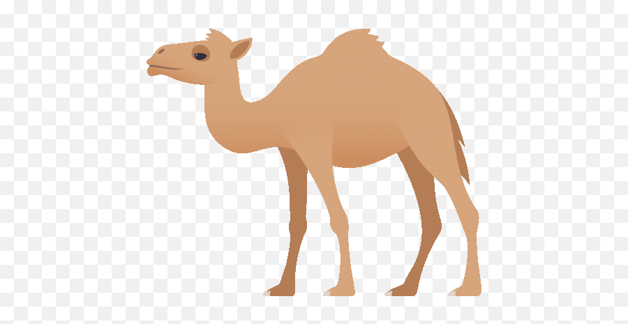 Camel Nature Gif - Arabian Camel Clipart Emoji,Humping Smiley Emojis Gif