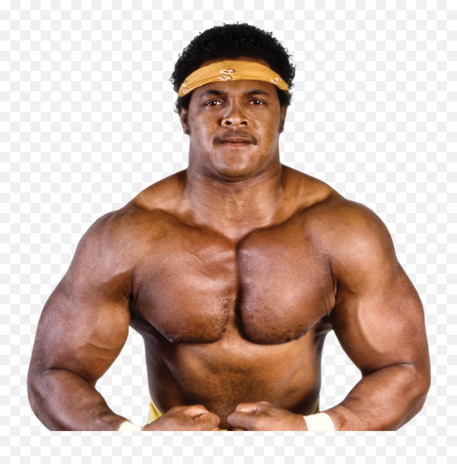 Wrestling Great Hacksaw Butch Reed - Butch Reed Wrestler Emoji,Bruiser Brody Emoji