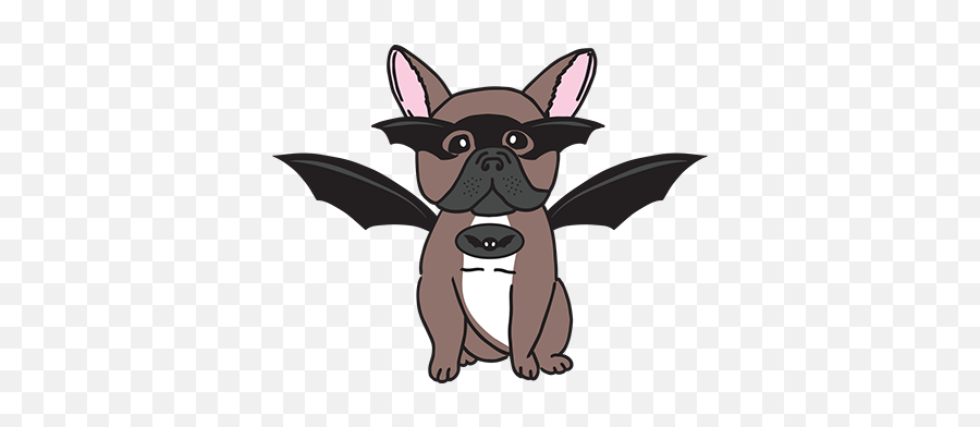 Batpig Pet Supply - Batpig Backpacks Harnesses U0026 Accessories Bat Pig Emoji,Cartoon Dog Emotions Chart