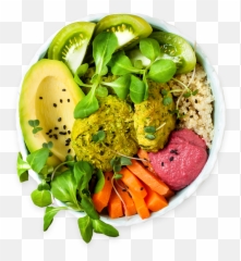 The Diet - Hummus Emoji,Hippocrates On Emotions