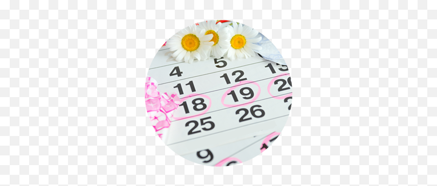 Menstruation U2013 Menstrin - Calendar Pages Emoji,Menstrual Cycle Emotions