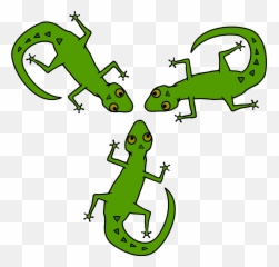 Lizard Reptile Common Iguanas - Lizards Clipart Emoji,Iguana Emoji