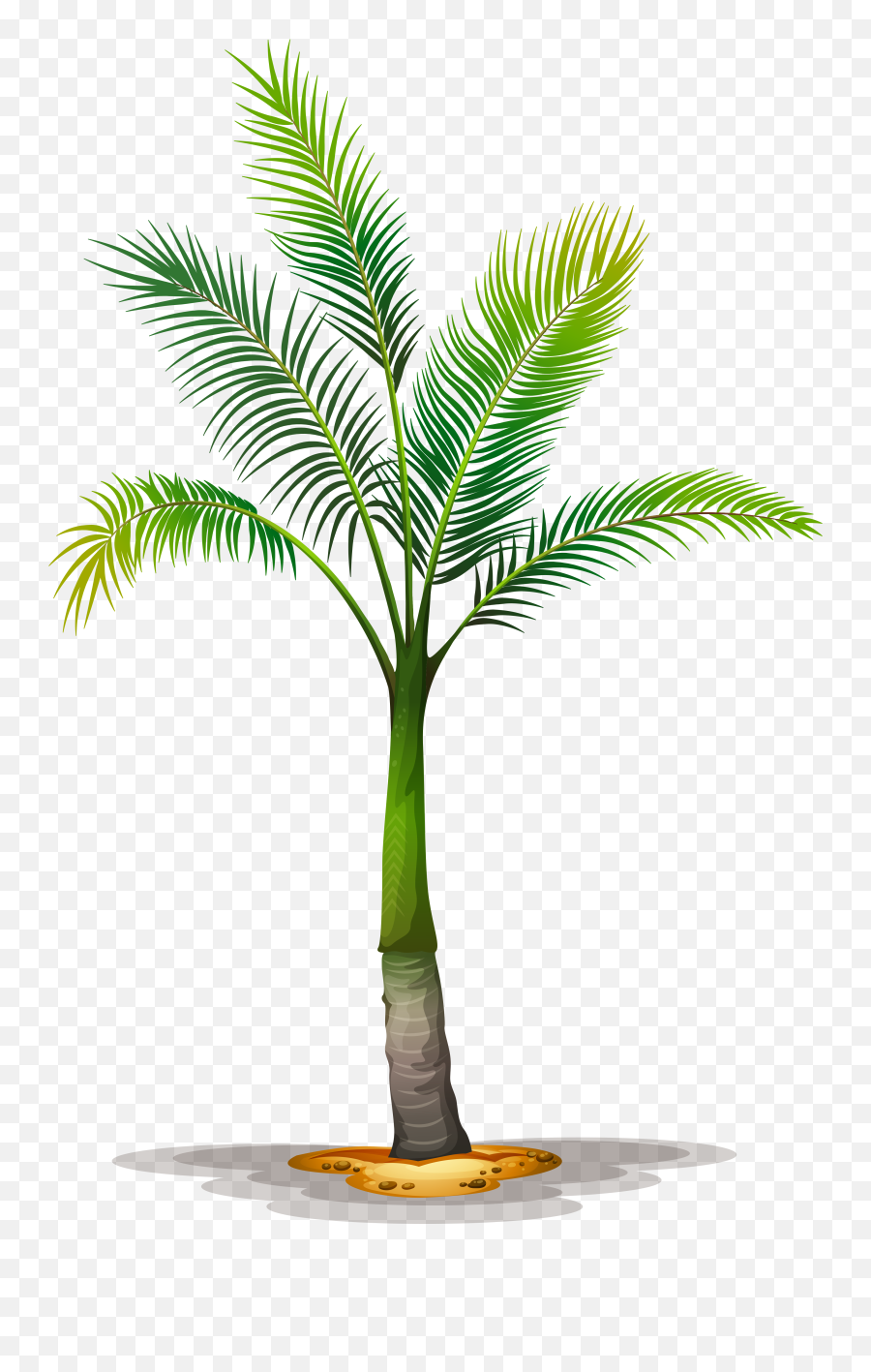 Tree Planting Trees To Plant Palm Print Tree Of - Palm Kind Of Palm Trees Emoji,Palm Tree Emoji