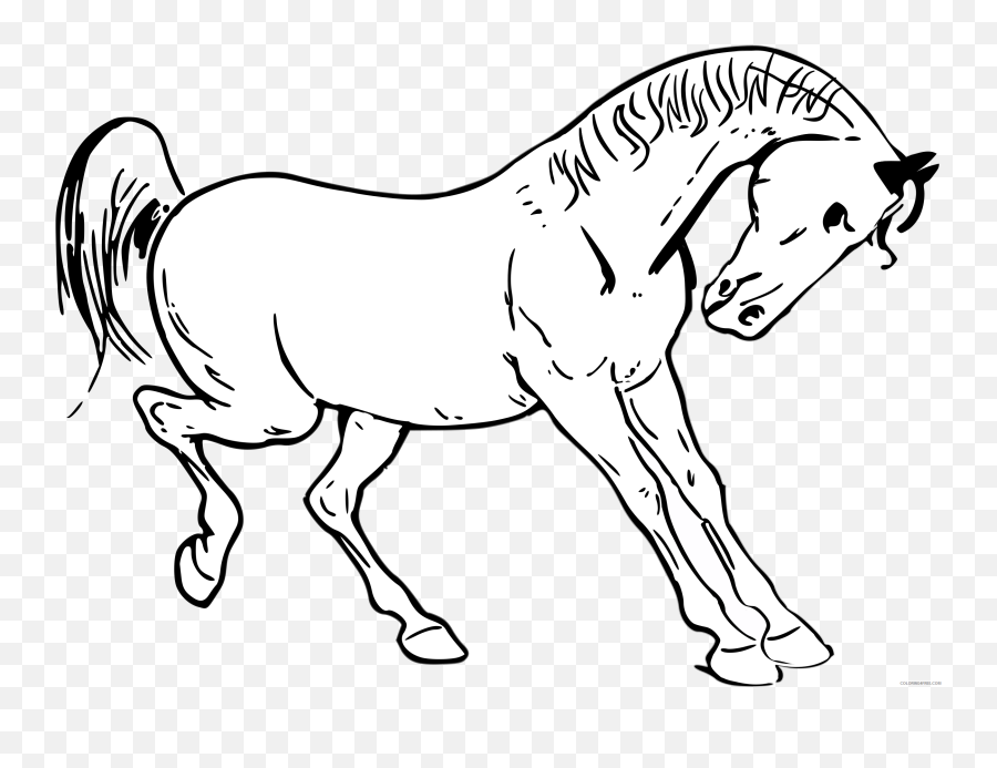 Horse Outline Coloring Pages - Horse Png Outline Emoji,Flag Horse Dancing Music Emoji
