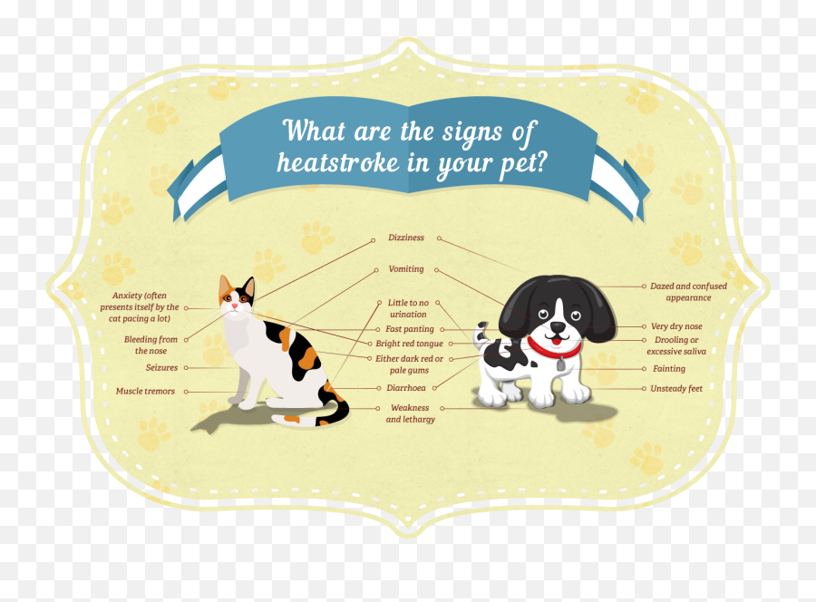 Heatstroke Guide For Cats And Dogs Rspca Pet Insurance - Heat Exhaustion In Cats Emoji,Cat Emotions Ear Chart