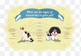 Heatstroke Guide For Cats And Dogs Rspca Pet Insurance - Heat Exhaustion In Cats Emoji,Cat Emotions Ear Chart