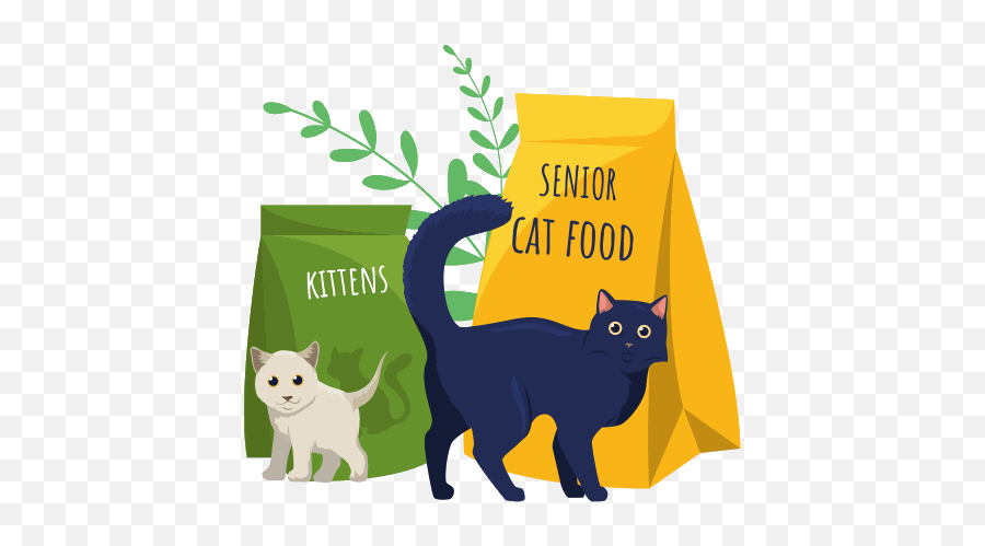 The Complete Guide To Feline Nutrition - Weu0027re All About Cats Animal Figure Emoji,Cat Definitely Show Emotion