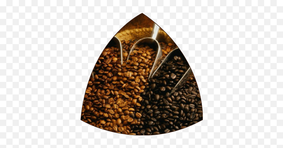 Free - Coffee Template Emoji,Coffee Bean Emoji