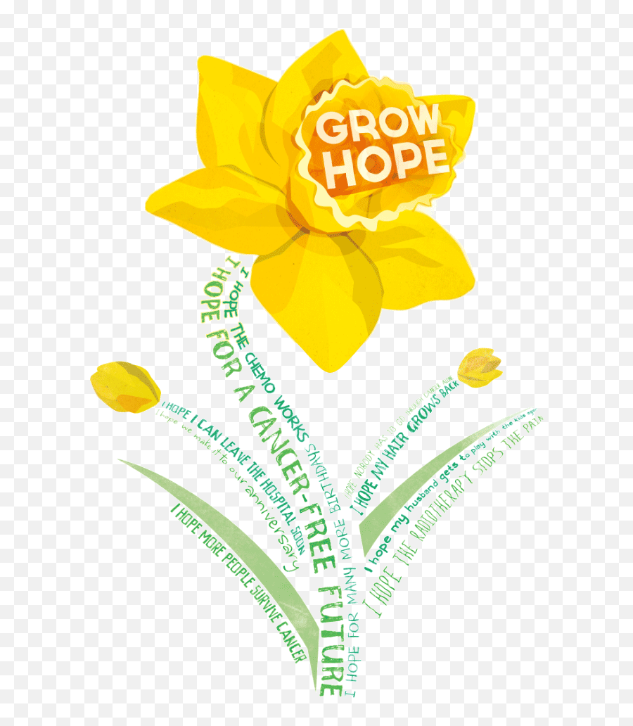 World Daffodil Day 2021 - Wednesday August 18 2021 Daffodil Is The Symbol Of Hope Emoji,Poems On Different Emotions Of Cancer