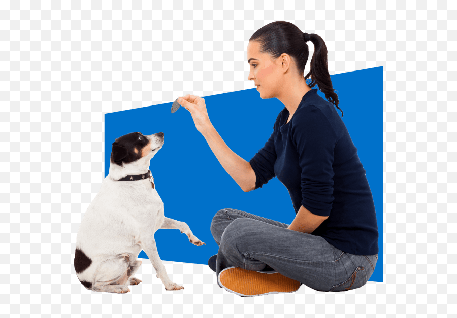 The Online Dog Trainer From Doggy Dan Emoji,Dog Emotion Trigger