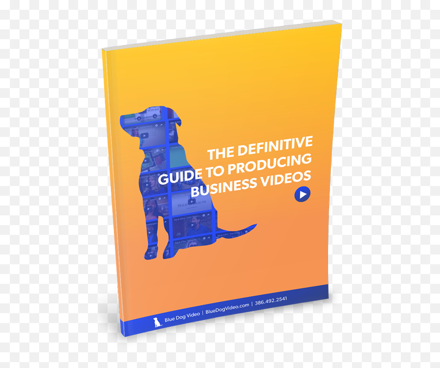 Full - Service Video Production Company Daytona Beach Blue Emoji,Videos Of Dogs Emotions