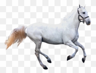 Wink Emoji - Pngfreeimg,Horse Emoji