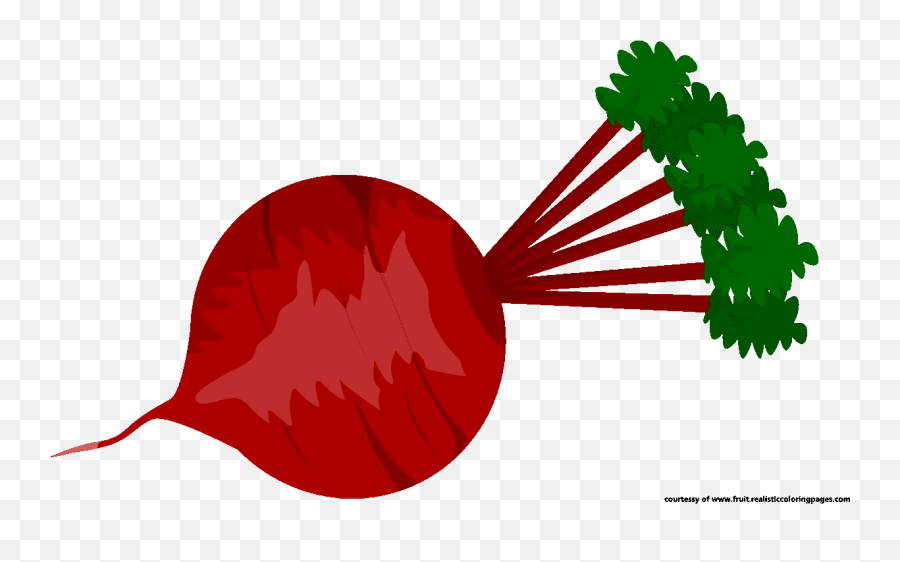 Vegetable Clipart Single - Beetroot Clipart Png Download Beetroot Cartoon Png Emoji,Single Red Rose Emoticon