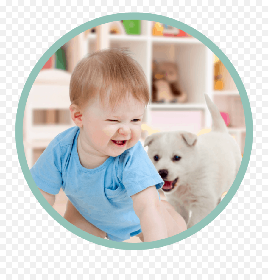 Dogs And Babies - Letu0027s Talk Train With Trust How To Dog Emoji,Dog Faces Emotions