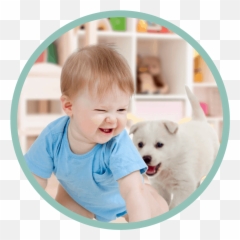 Dogs And Babies - Letu0027s Talk Train With Trust How To Dog Emoji,Dog Faces Emotions