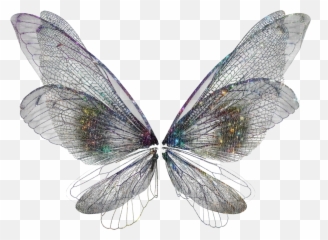 The Most Edited Bug Picsart Emoji,Insect Animated Emoticon
