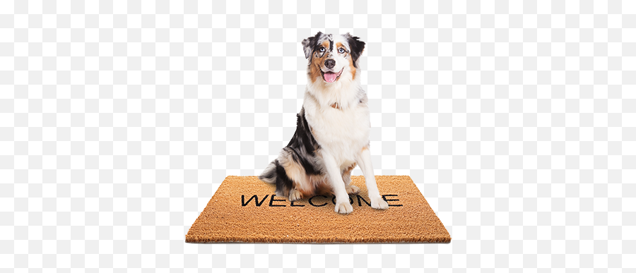 Concord Nh - Waterstone Mortgage Absolute Guide To Living With Your Dog Emoji,Welcome Mat Emoji Fb