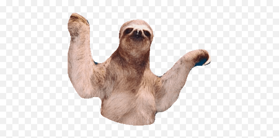 Top Sloth Eyes Stickers For Android - Dancing Sloth Gif Emoji,Sloth Emoji Android