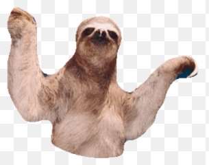 Top Sloth Eyes Stickers For Android - Dancing Sloth Gif Emoji,Sloth Emoji Android
