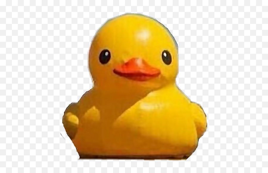 Duck Rubber Ducky Because Why Sticker - Soft Emoji,Rubber Duck Emoji