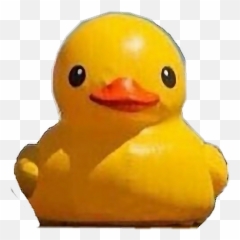 Duck Rubber Ducky Because Why Sticker - Soft Emoji,Rubber Duck Emoji