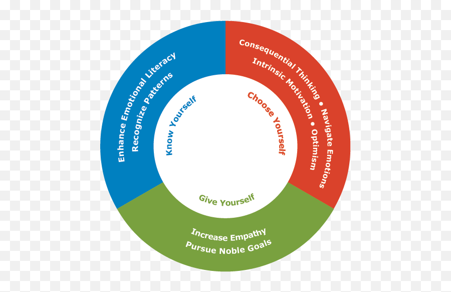 The Six Seconds Model Of Emotional - Hospital Patient Centered Care Emoji,List Of Emotions