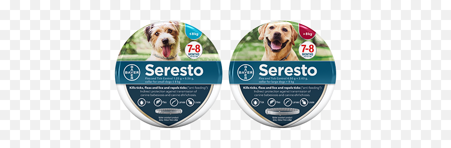 What You Need To Know About Fleas On Dogs My Pet And I - Seresto Cat Flea Collar Uk Emoji,Emoticon Long Blonde Haired Girl With Beagle Dog