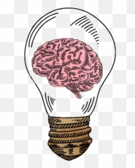 Top For Brain Cartoon Drawing Png - Cartoon How To Draw A Brain Emoji,Fun2draw Emoji