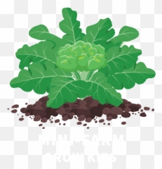 Gifs Ideas In 2021 - Proceso De Crecimiento Del Brocoli Emoji,Zany Emoji Samsung