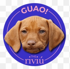 The - Funny Memes To Send Your Guy Friends Emoji,Vizsla Emoji
