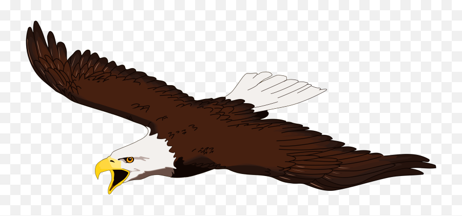 Bald Eagle Clip Art Clipart - Soaring Eagle Clip Art Emoji,Bald Eagle Emoji