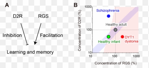 Nipsresearch Emoji,Emotion Regulation Circuit
