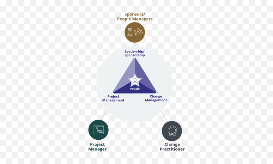 Core Roles In Change Management Emoji,Example Of Functional Emotion Management