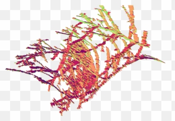 Elicia Fraga Emoji,Emotion In Nature