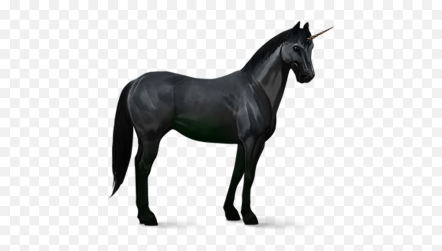 Black Unicorn Png Transparent Background 9 - Yourpngcom Emoji,Unicorn Emoji Stock Image