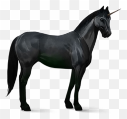 Black Unicorn Png Transparent Background 9 - Yourpngcom Emoji,Unicorn Emoji Stock Image